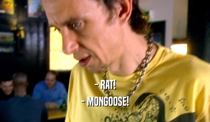 - RAT! - MONGOOSE! 