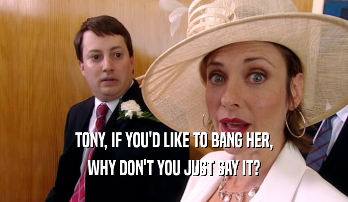 TONY, IF YOU'D LIKE TO BANG HER, WHY DON'T YOU JUST SAY IT? 