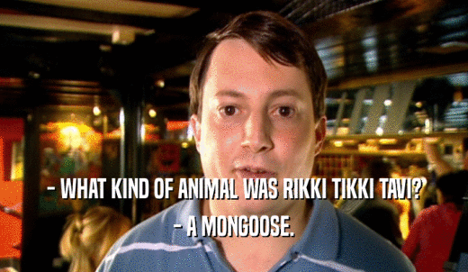 - WHAT KIND OF ANIMAL WAS RIKKI TIKKI TAVI? - A MONGOOSE. 