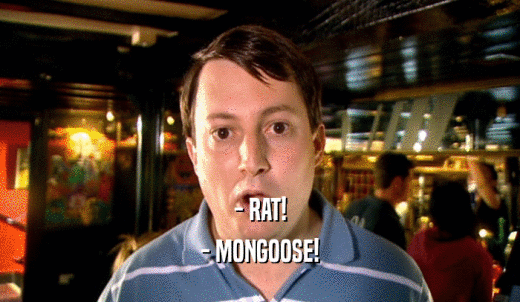 - RAT! - MONGOOSE! 