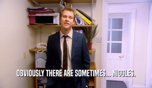 OBVIOUSLY THERE ARE SOMETIMES... NIGGLES.  
