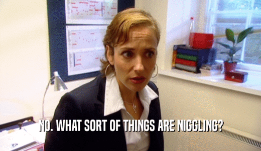 NO. WHAT SORT OF THINGS ARE NIGGLING?  