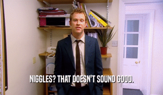 NIGGLES? THAT DOESN'T SOUND GOOD.  