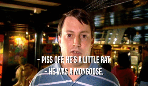 - PISS OFF, HE'S A LITTLE RAT. - HE WAS A MONGOOSE. 