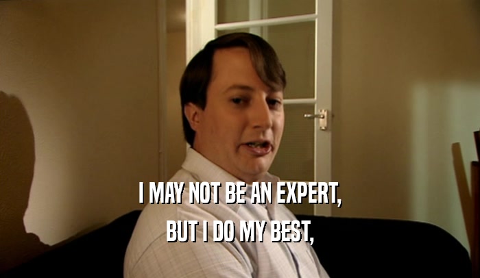 I MAY NOT BE AN EXPERT,
 BUT I DO MY BEST,
 