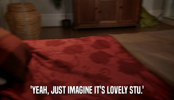 'YEAH, JUST IMAGINE IT'S LOVELY STU.'  