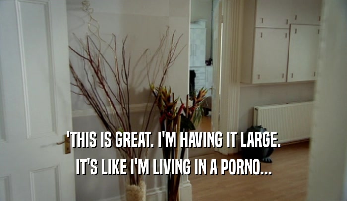 'THIS IS GREAT. I'M HAVING IT LARGE. IT'S LIKE I'M LIVING IN A PORNO... 