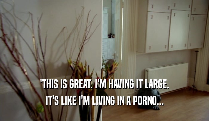 'THIS IS GREAT. I'M HAVING IT LARGE. IT'S LIKE I'M LIVING IN A PORNO... 