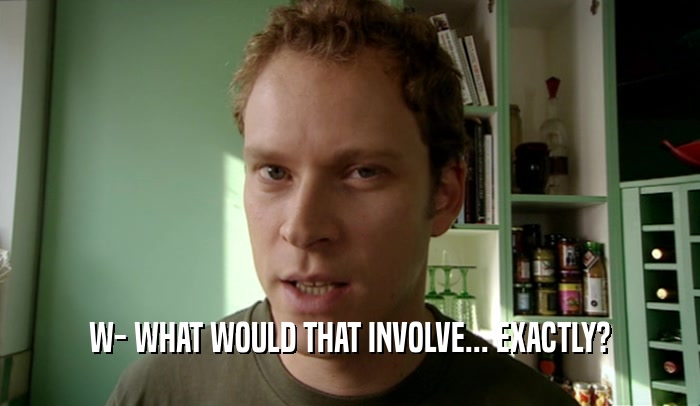 W- WHAT WOULD THAT INVOLVE... EXACTLY?  