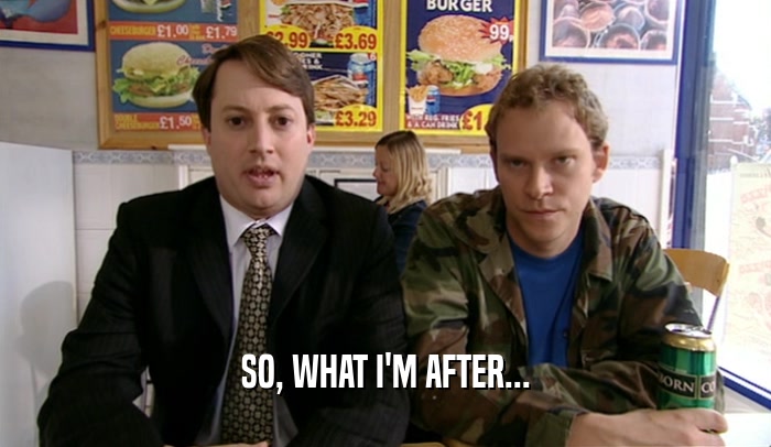 SO, WHAT I'M AFTER...  