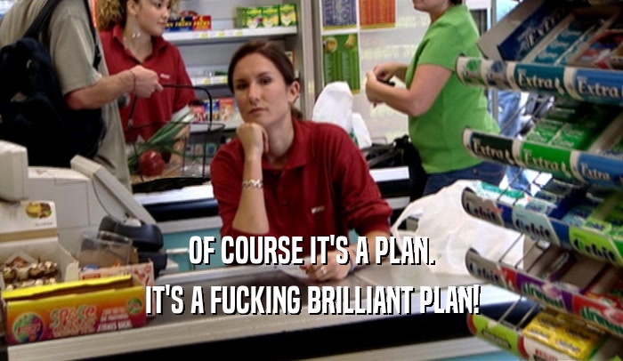 OF COURSE IT'S A PLAN. IT'S A FUCKING BRILLIANT PLAN! 