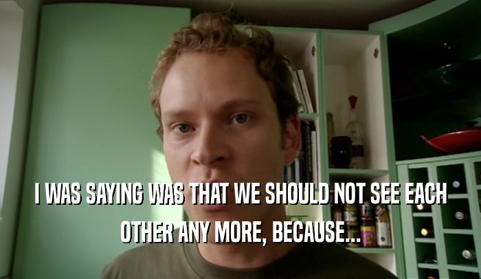 I WAS SAYING WAS THAT WE SHOULD NOT SEE EACH OTHER ANY MORE, BECAUSE... 
