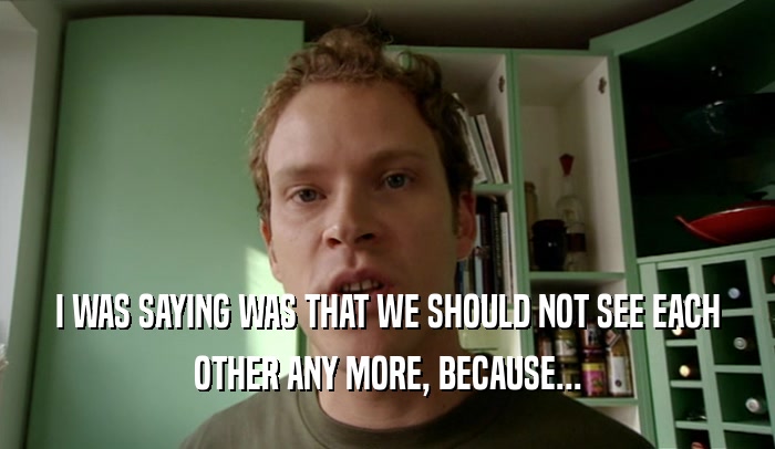 I WAS SAYING WAS THAT WE SHOULD NOT SEE EACH OTHER ANY MORE, BECAUSE... 