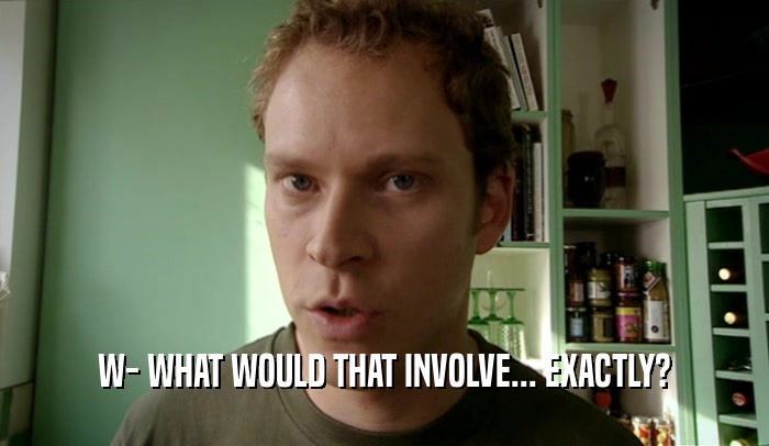 W- WHAT WOULD THAT INVOLVE... EXACTLY?  