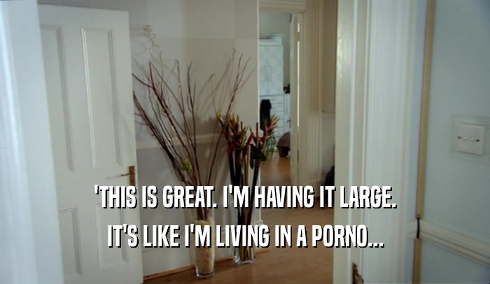 'THIS IS GREAT. I'M HAVING IT LARGE. IT'S LIKE I'M LIVING IN A PORNO... 