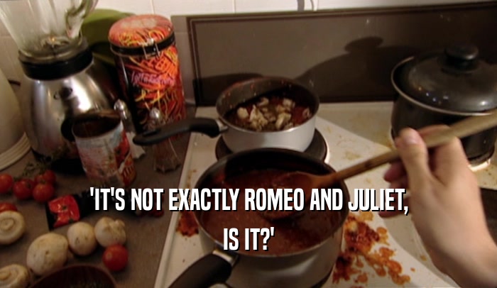 'IT'S NOT EXACTLY ROMEO AND JULIET,
 IS IT?'
 