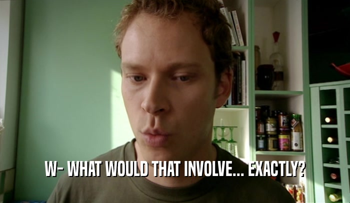 W- WHAT WOULD THAT INVOLVE... EXACTLY?  