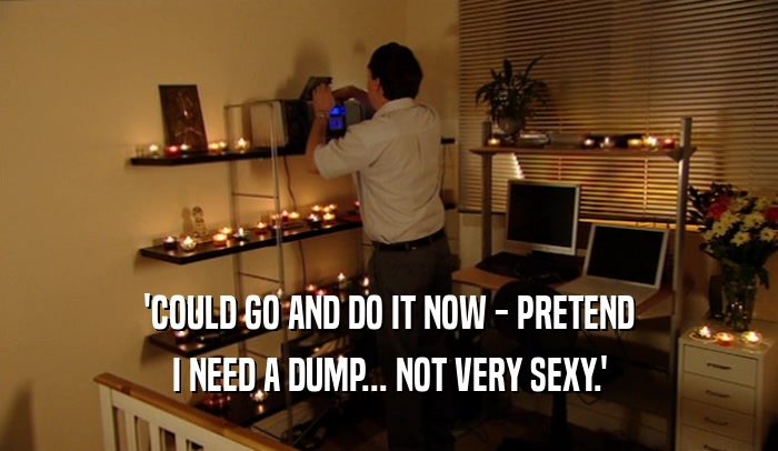 'COULD GO AND DO IT NOW - PRETEND I NEED A DUMP... NOT VERY SEXY.' 