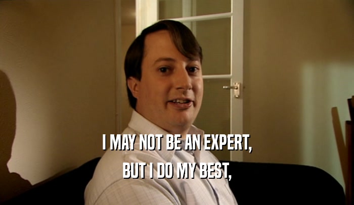 I MAY NOT BE AN EXPERT,
 BUT I DO MY BEST,
 