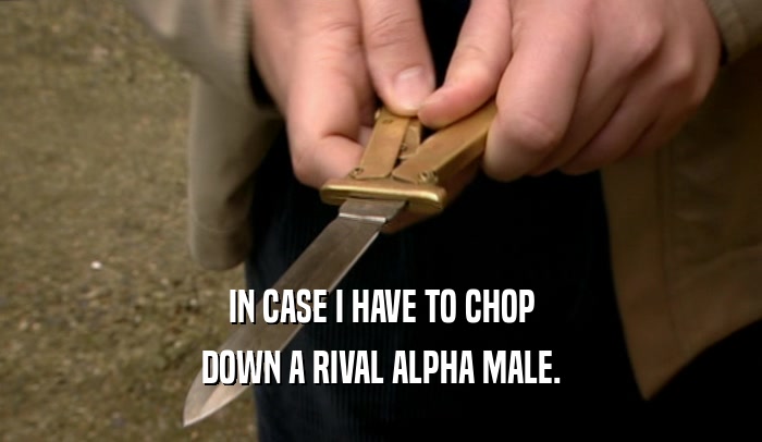 IN CASE I HAVE TO CHOP DOWN A RIVAL ALPHA MALE. 