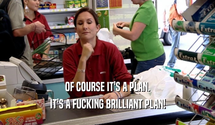 OF COURSE IT'S A PLAN. IT'S A FUCKING BRILLIANT PLAN! 