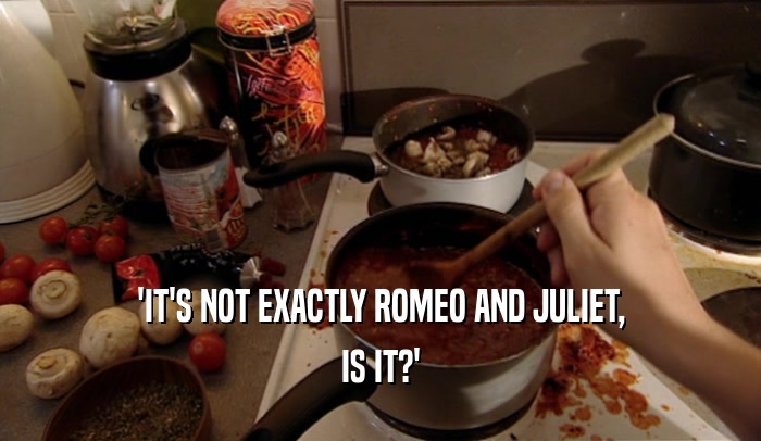 'IT'S NOT EXACTLY ROMEO AND JULIET,
 IS IT?'
 