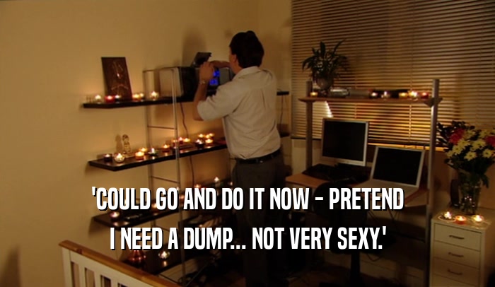 'COULD GO AND DO IT NOW - PRETEND I NEED A DUMP... NOT VERY SEXY.' 