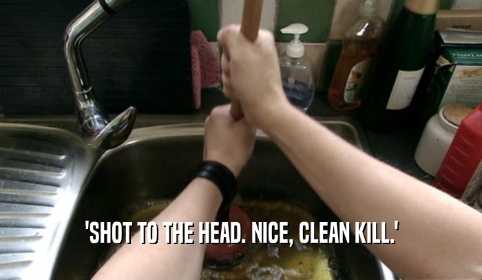 'SHOT TO THE HEAD. NICE, CLEAN KILL.'  