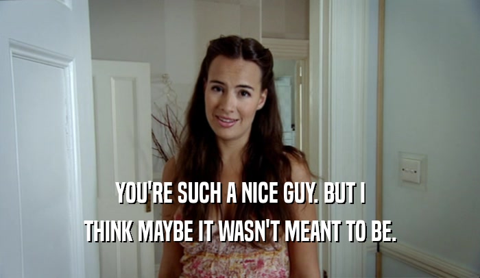 YOU'RE SUCH A NICE GUY. BUT I THINK MAYBE IT WASN'T MEANT TO BE. 