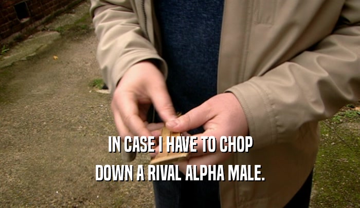 IN CASE I HAVE TO CHOP DOWN A RIVAL ALPHA MALE. 