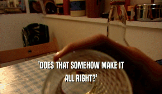 'DOES THAT SOMEHOW MAKE IT ALL RIGHT?' 