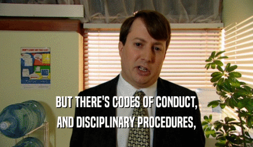 BUT THERE'S CODES OF CONDUCT, AND DISCIPLINARY PROCEDURES, 