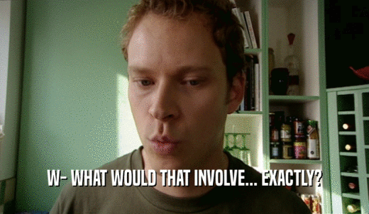 W- WHAT WOULD THAT INVOLVE... EXACTLY?  