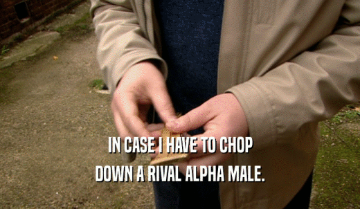IN CASE I HAVE TO CHOP DOWN A RIVAL ALPHA MALE. 