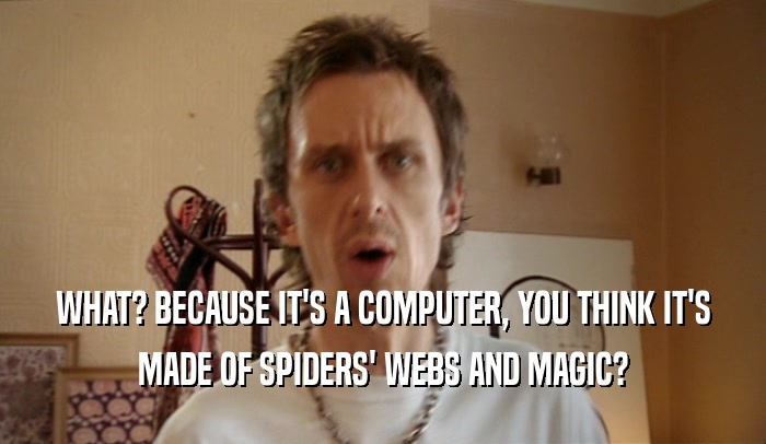 WHAT? BECAUSE IT'S A COMPUTER, YOU THINK IT'S MADE OF SPIDERS' WEBS AND MAGIC? 