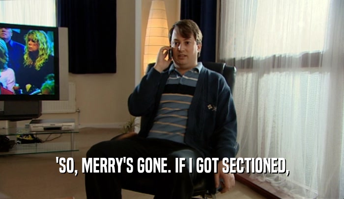 'SO, MERRY'S GONE. IF I GOT SECTIONED,
  