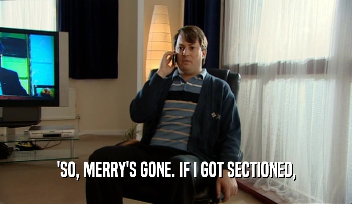 'SO, MERRY'S GONE. IF I GOT SECTIONED,  