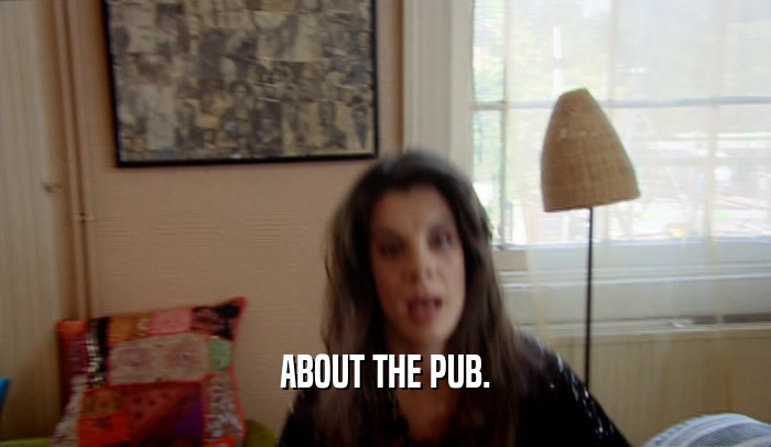 ABOUT THE PUB.
  