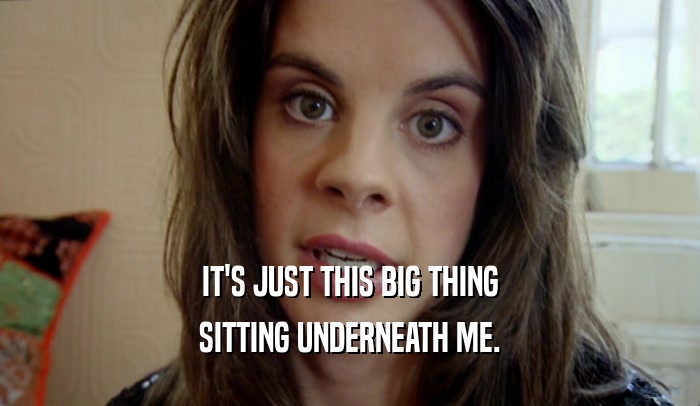 IT'S JUST THIS BIG THING SITTING UNDERNEATH ME. 