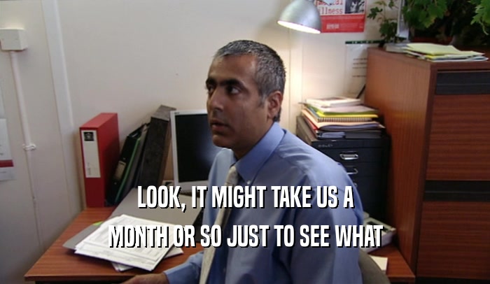LOOK, IT MIGHT TAKE US A MONTH OR SO JUST TO SEE WHAT 