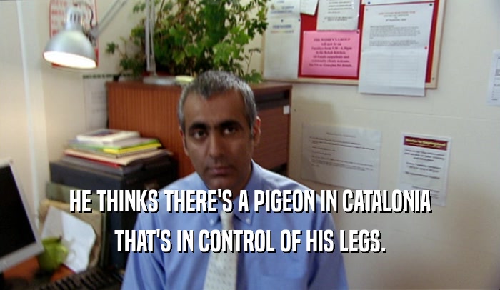 HE THINKS THERE'S A PIGEON IN CATALONIA THAT'S IN CONTROL OF HIS LEGS. 
