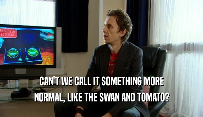 CAN'T WE CALL IT SOMETHING MORE NORMAL, LIKE THE SWAN AND TOMATO? 
