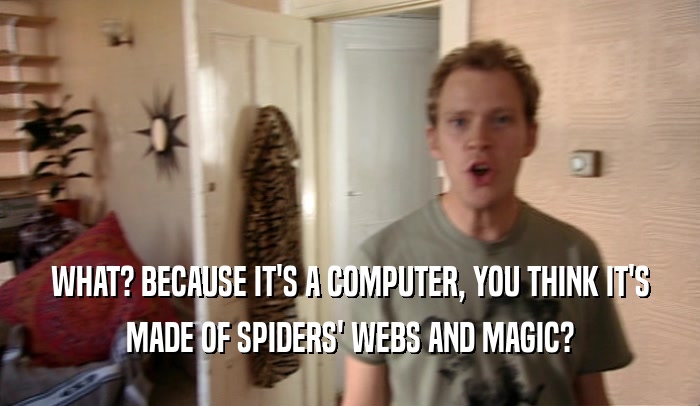 WHAT? BECAUSE IT'S A COMPUTER, YOU THINK IT'S MADE OF SPIDERS' WEBS AND MAGIC? 
