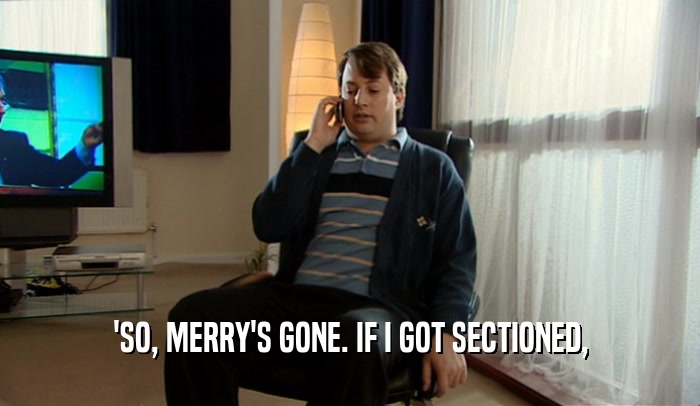 'SO, MERRY'S GONE. IF I GOT SECTIONED,
  