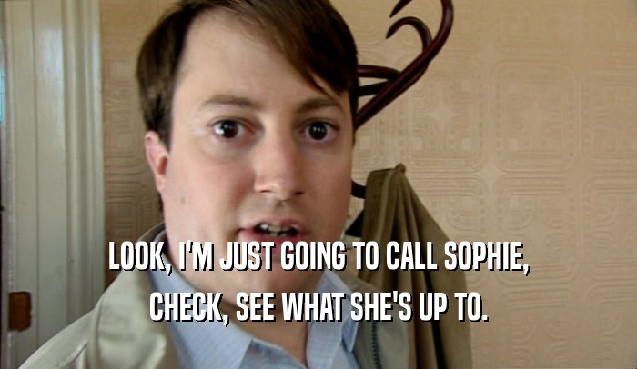 LOOK, I'M JUST GOING TO CALL SOPHIE, CHECK, SEE WHAT SHE'S UP TO. 