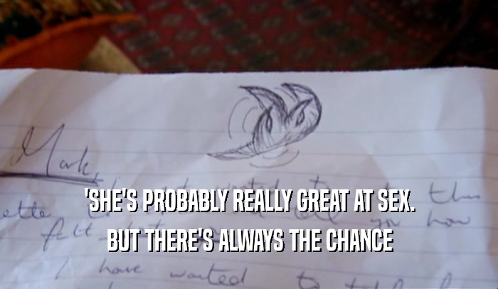 'SHE'S PROBABLY REALLY GREAT AT SEX. BUT THERE'S ALWAYS THE CHANCE 