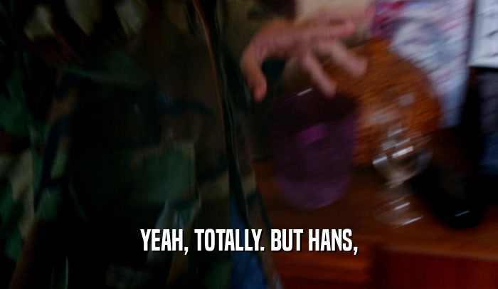 YEAH, TOTALLY. BUT HANS,  