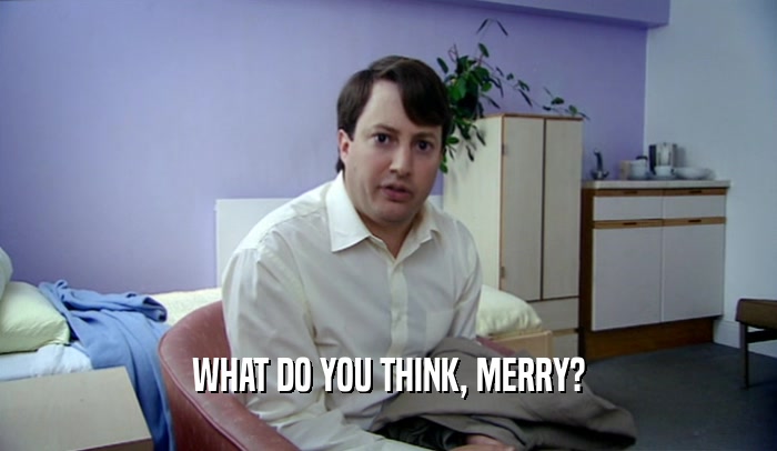 WHAT DO YOU THINK, MERRY?  