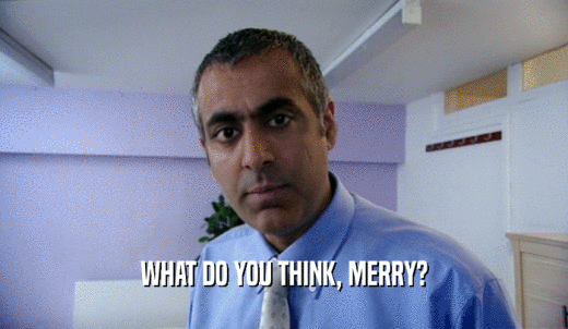 WHAT DO YOU THINK, MERRY?  