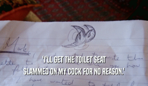 'I'LL GET THE TOILET SEAT SLAMMED ON MY COCK FOR NO REASON.' 